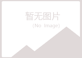 金山屯区迎蓉建设有限公司